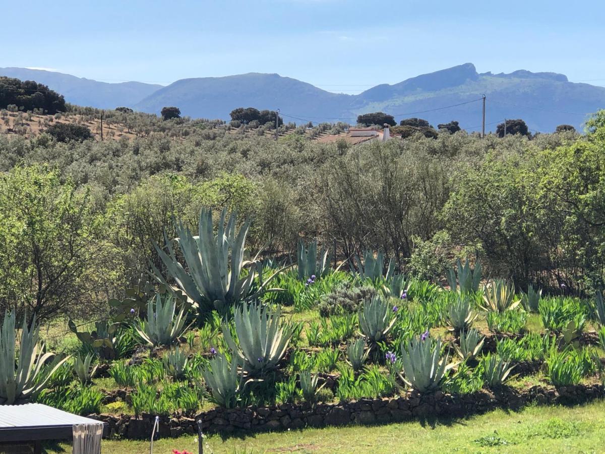 Bed & Breakfast Casa La Alegria 37 *