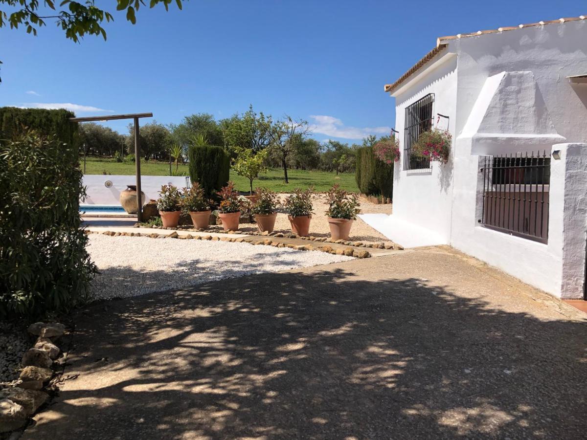 Casa La Alegria 37 Bed & Breakfast