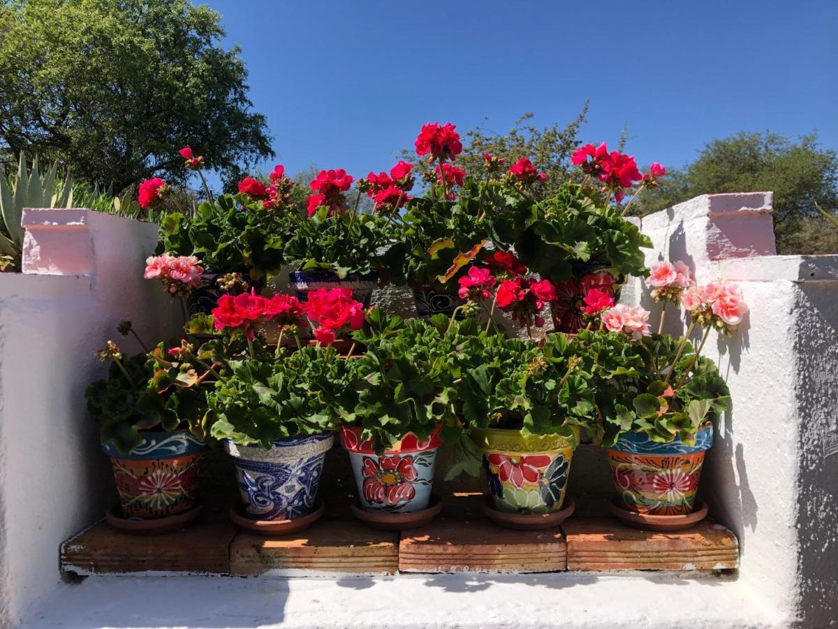 Casa La Alegria 37 Bed & Breakfast *