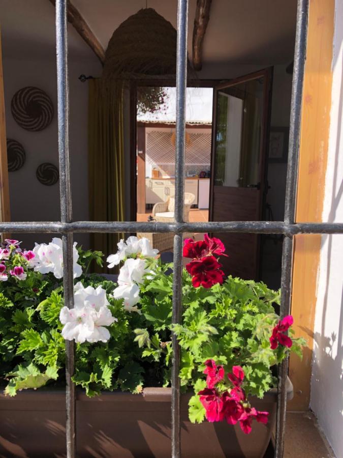 Casa La Alegria 37 Frühstückspension