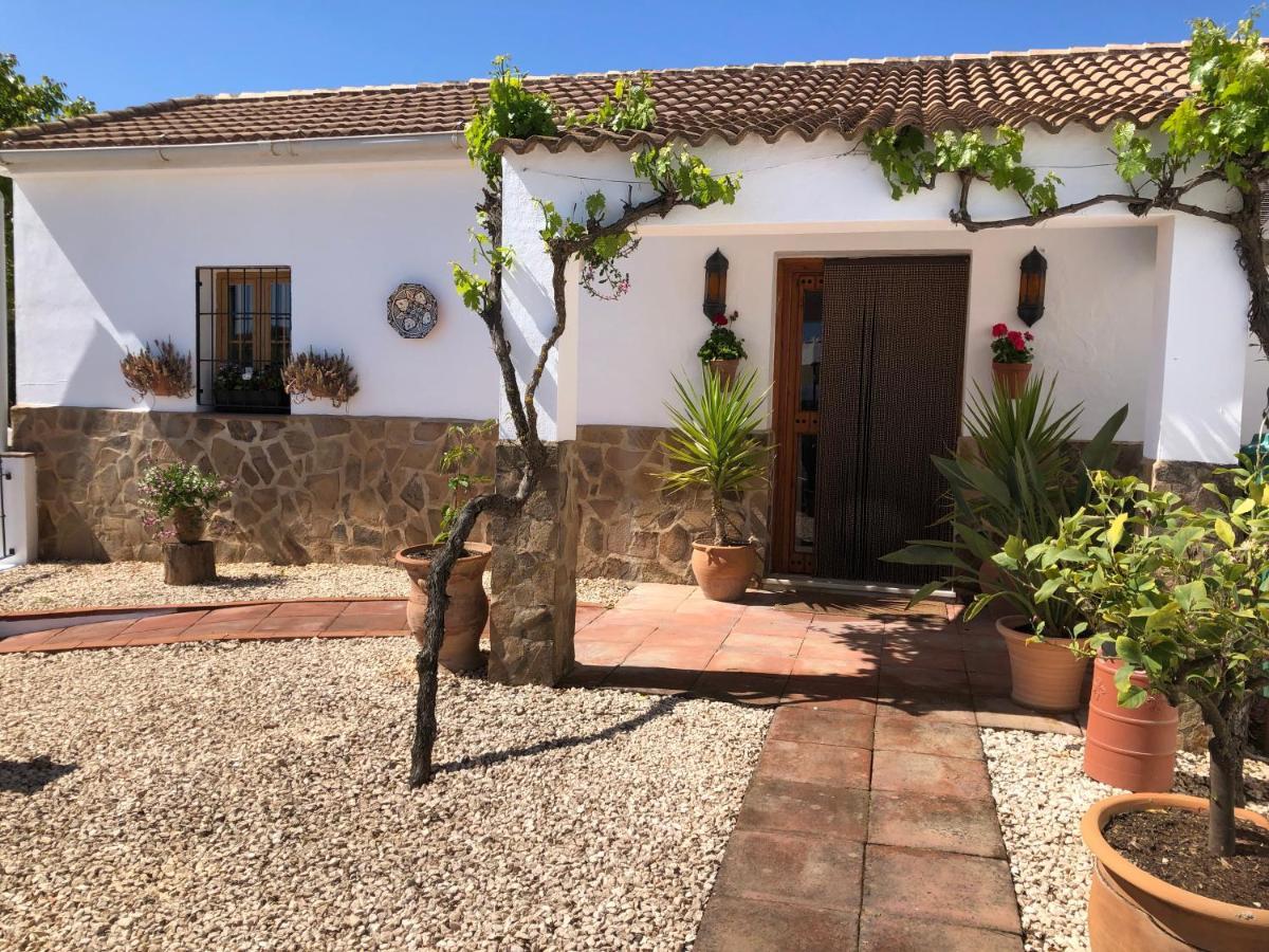 Casa La Alegria 37 Frühstückspension *